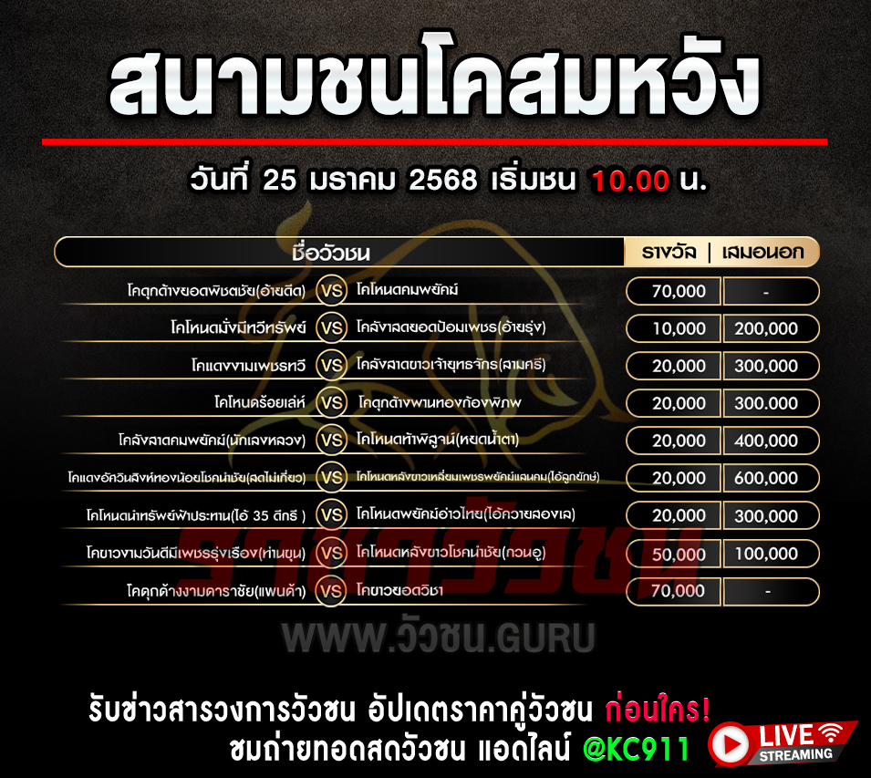 โปรแกรมวัวชน 25-1-2568