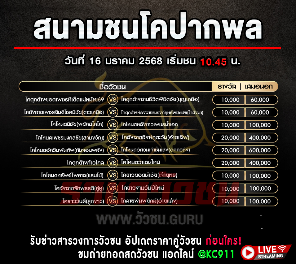 โปรแกรมวัวชน 16-1-2568