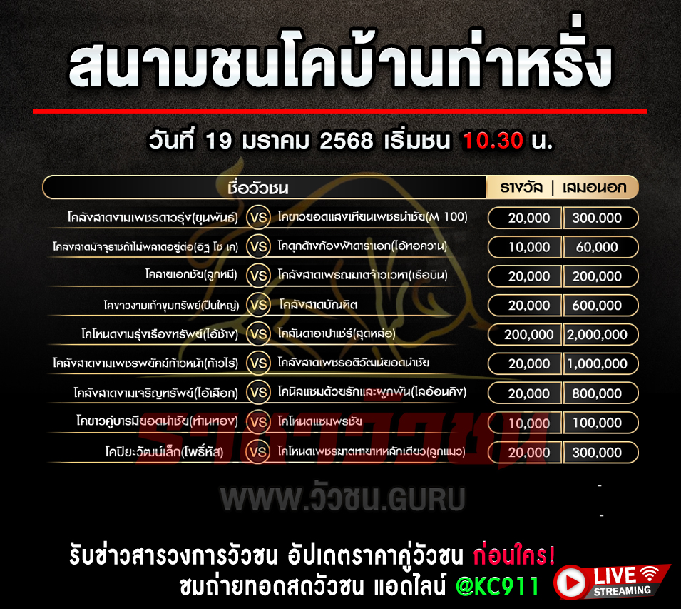 โปรแกรมวัวชน 19-1-2568