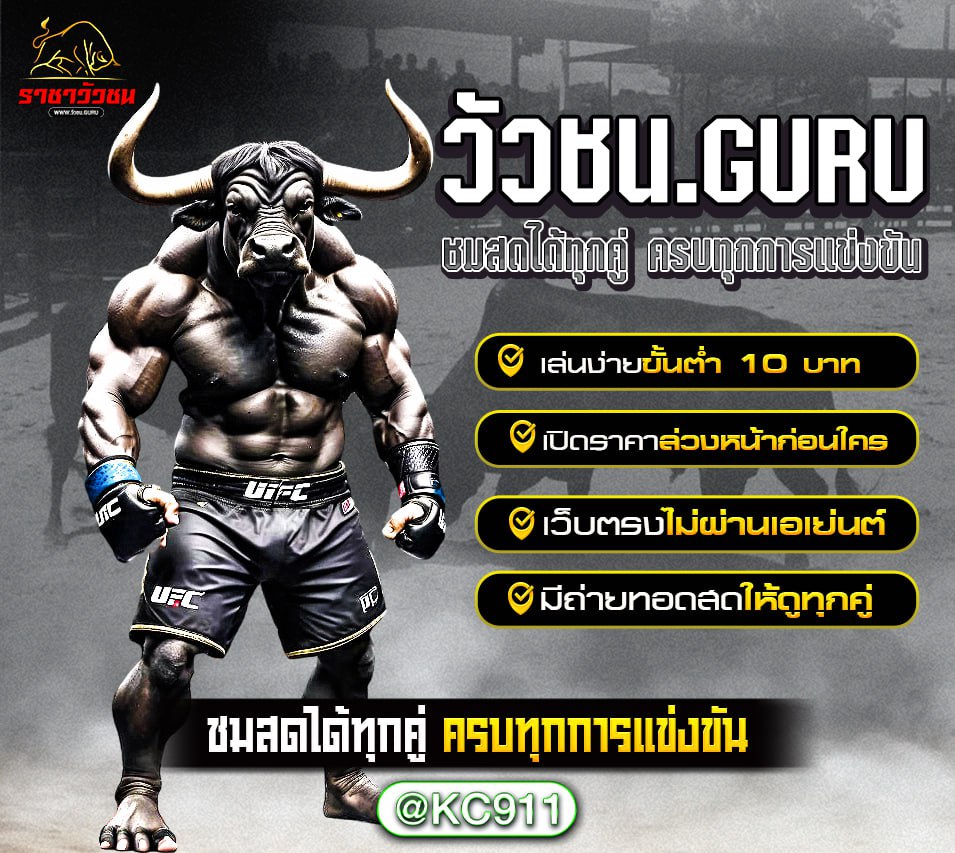 วัวชนออนไลน์ 25-01-2568