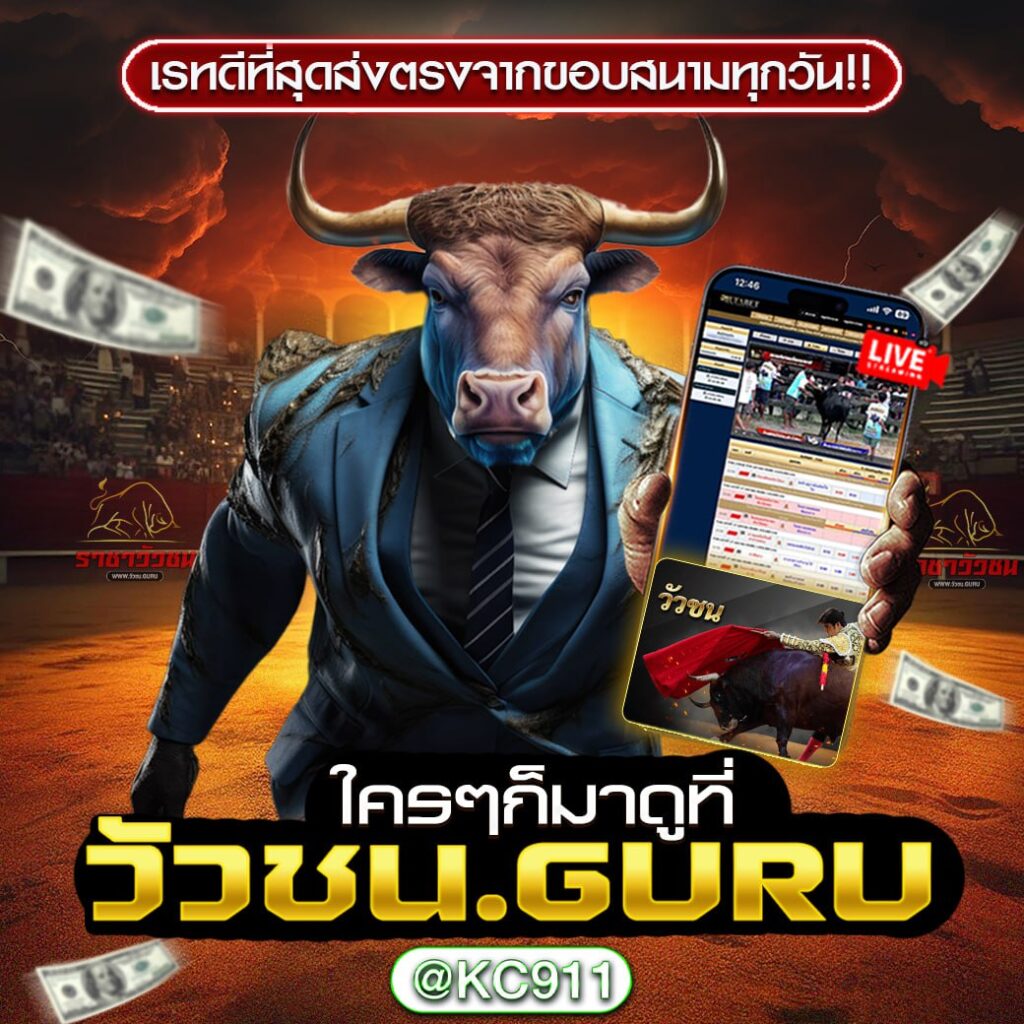 วัวชนออนไลน์ 7-02-2568