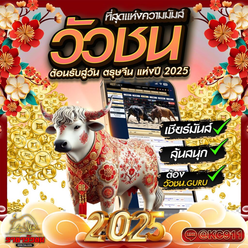 วัวชนออนไลน์ 30-01-2568