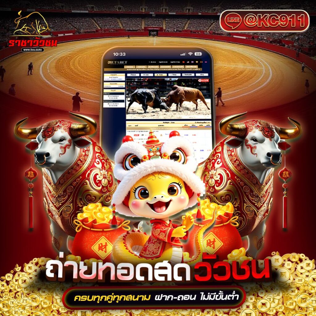 วัวชนออนไลน์ 29-01-2568