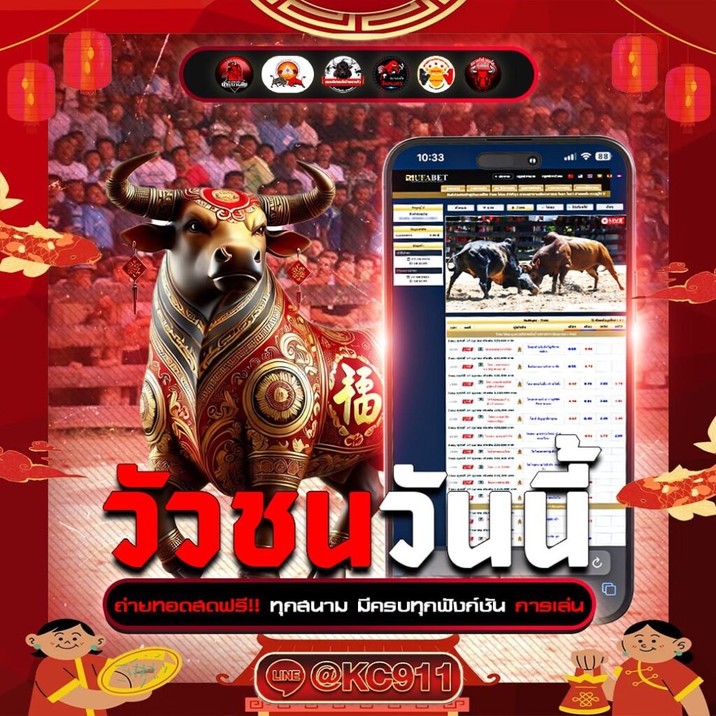 วัวชนออนไลน์ 28-01-2568