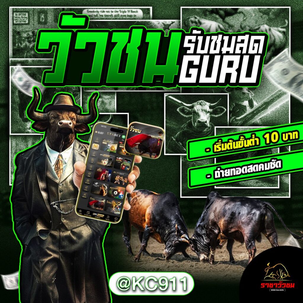 วัวชนออนไลน์ 8-02-2568