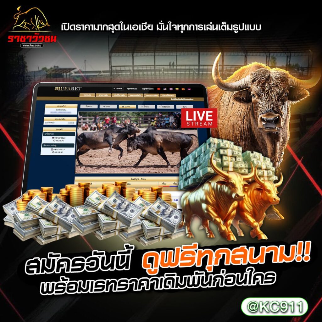 โปรแกรมวัวชน 4-2-2568