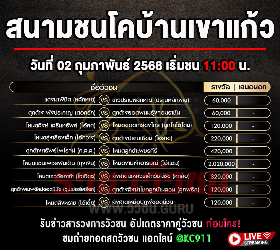 โปรแกรมวัวชน 2-2-2568