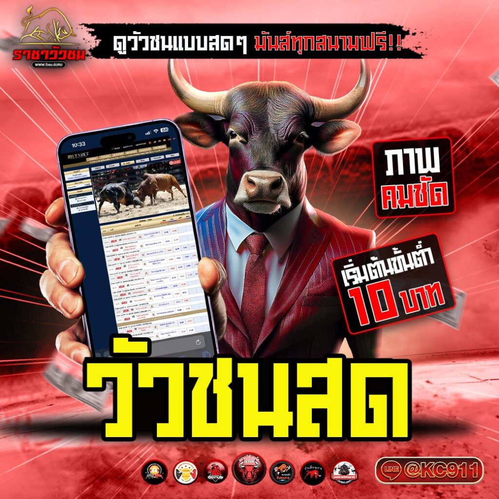 วัวชนออนไลน์ 14-02-2568