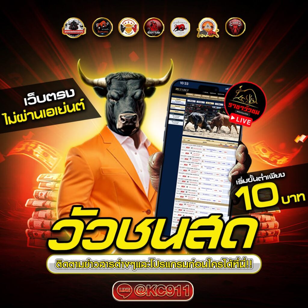 วัวชนออนไลน์ 15-02-2568