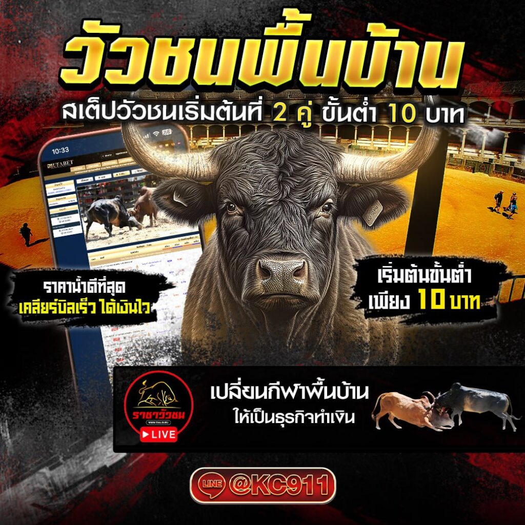 วัวชนออนไลน์ 20-02-2568