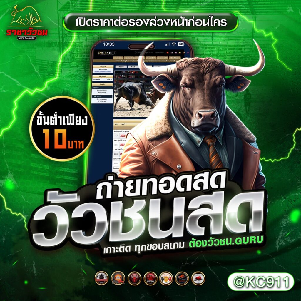 วัวชนออนไลน์ 21-02-2568