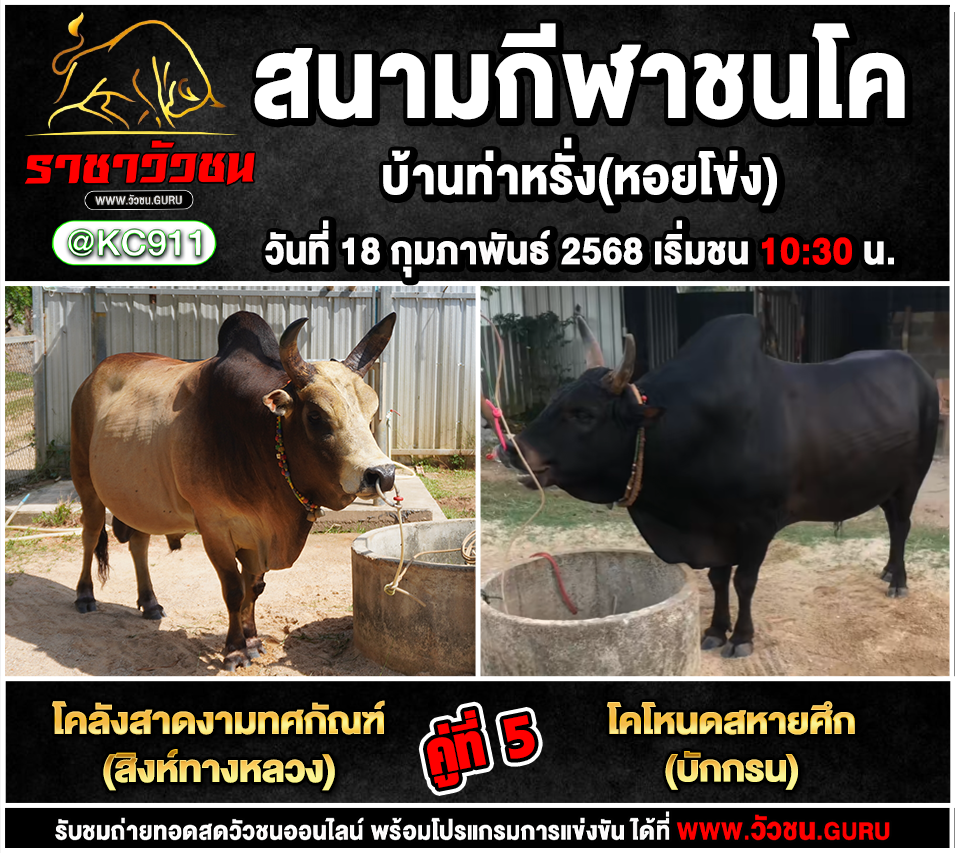 โปรแกรมวัวชน 18-2-2568