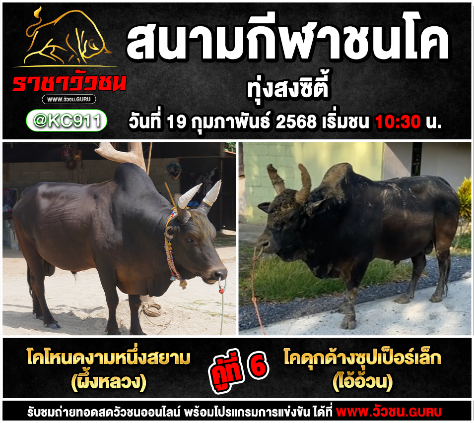 โปรแกรมวัวชน 19-2-2568