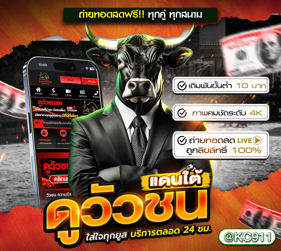 วัวชนออนไลน์ 7-03-2568