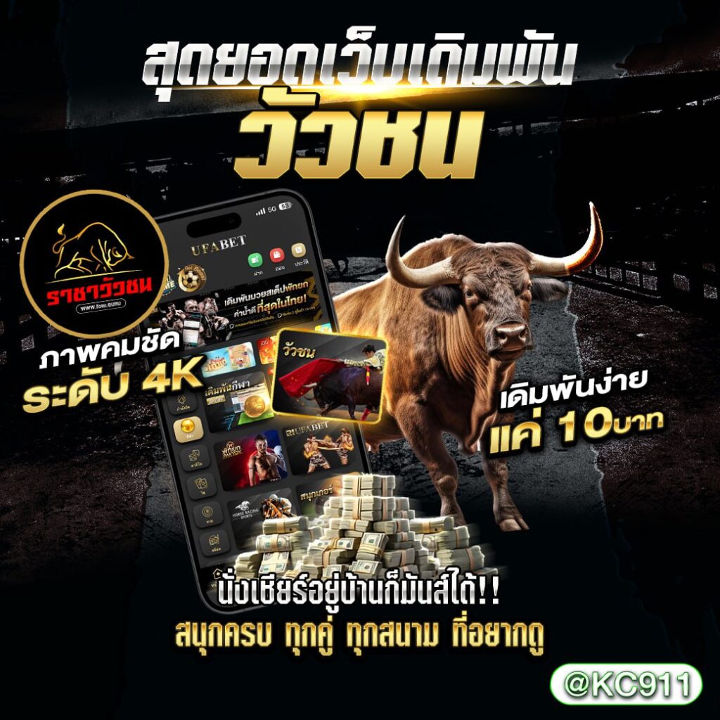 วัวชนออนไลน์ 11-03-2568
