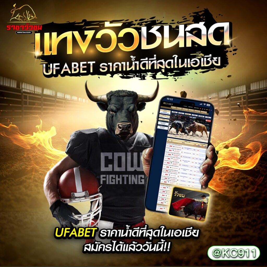 วัวชนออนไลน์ 17-03-2568