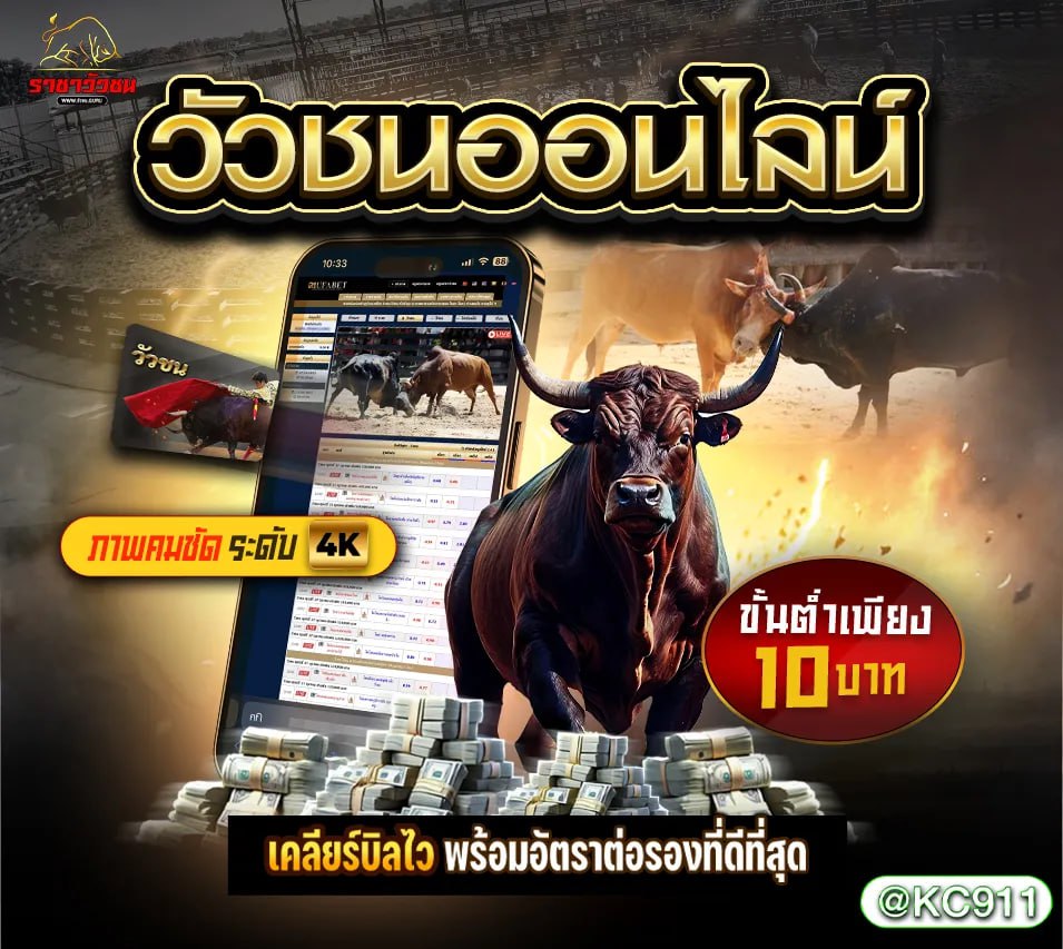 วัวชนออนไลน์ 16-03-2568