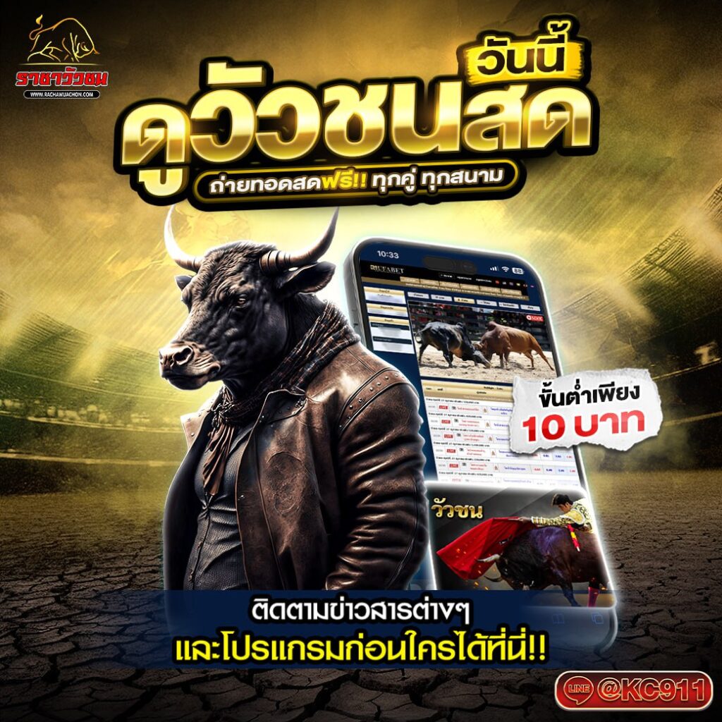 วัวชนออนไลน์ 22-03-2568