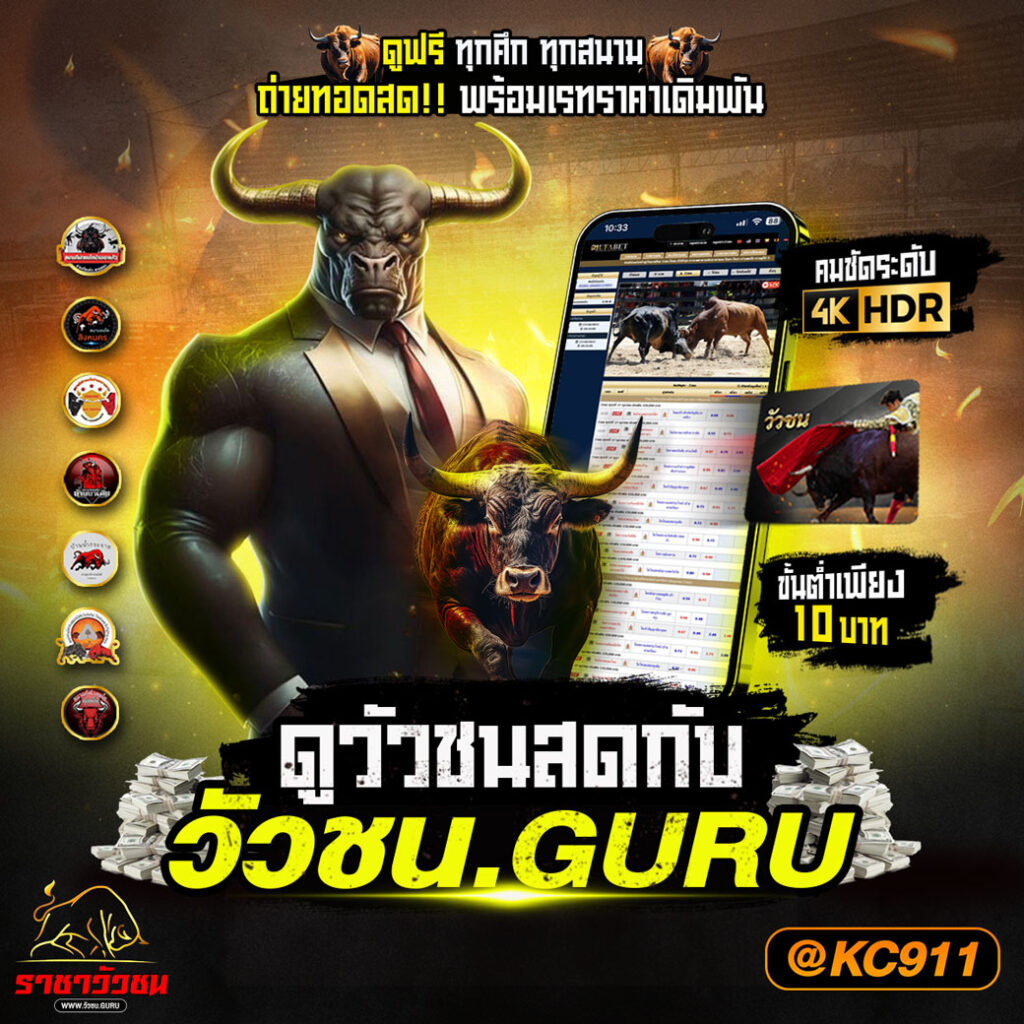 วัวชนออนไลน์ 26-02-2568