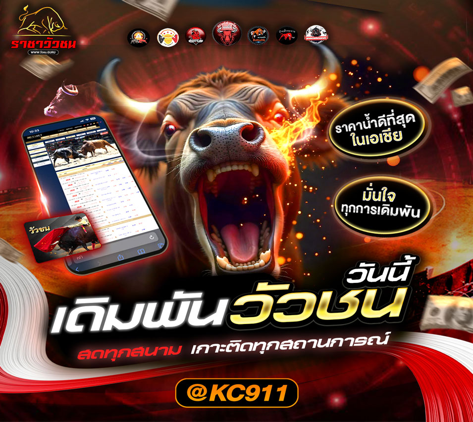 วัวชนออนไลน์ 28-02-2568