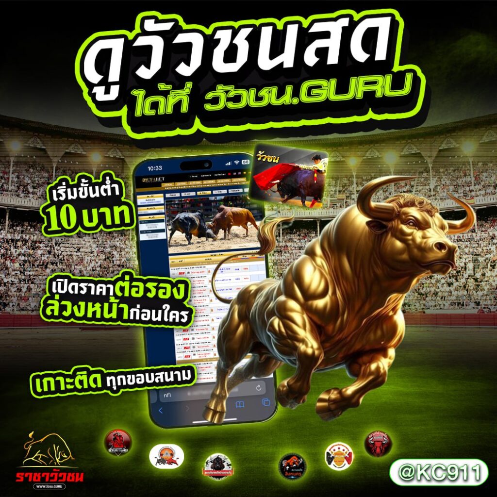 วัวชนออนไลน์ 1-03-2568