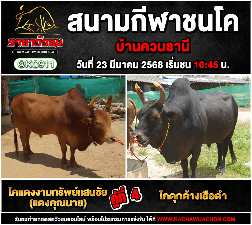 โปรแกรมวัวชน 23-3-2568