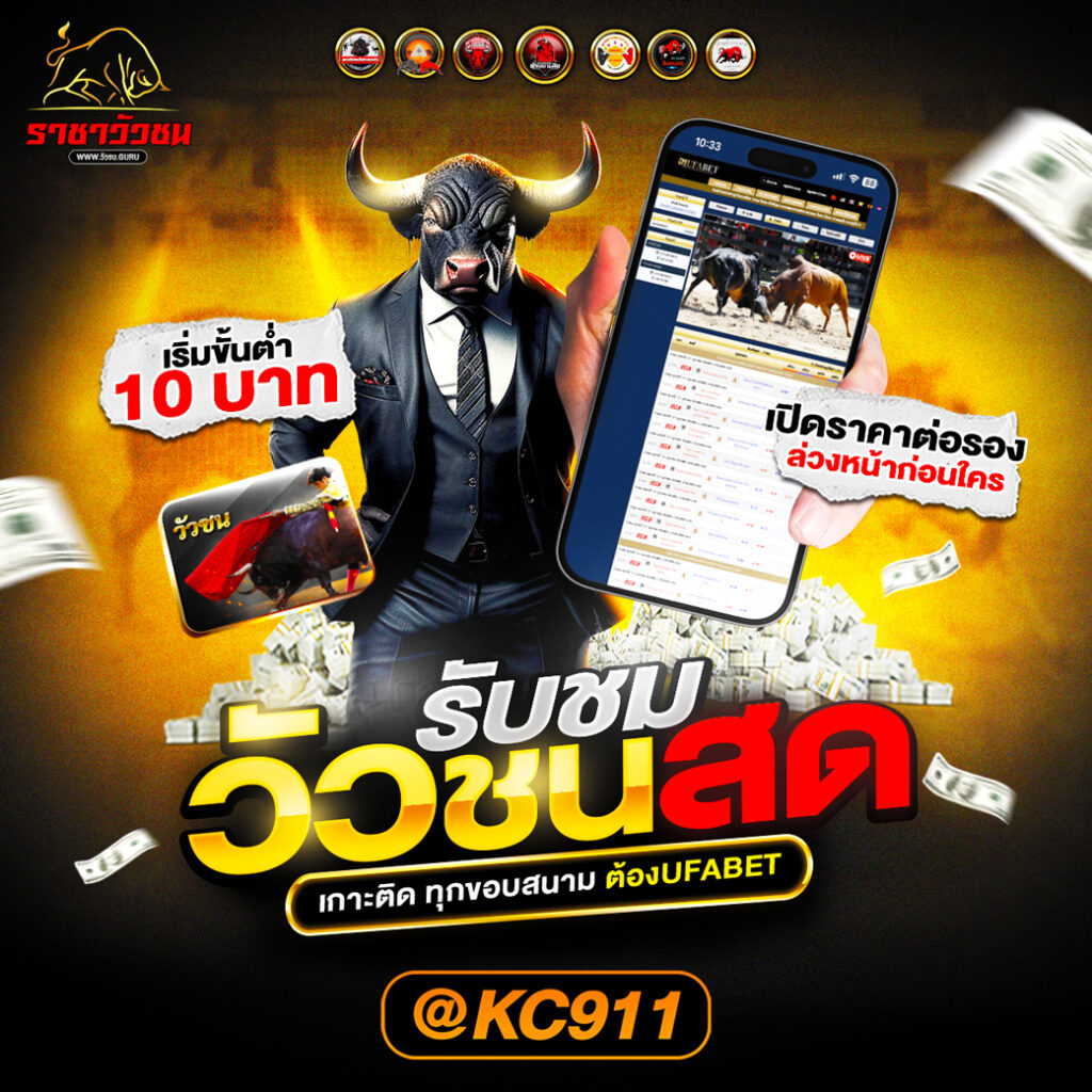 วัวชนออนไลน์ 27-02-2568