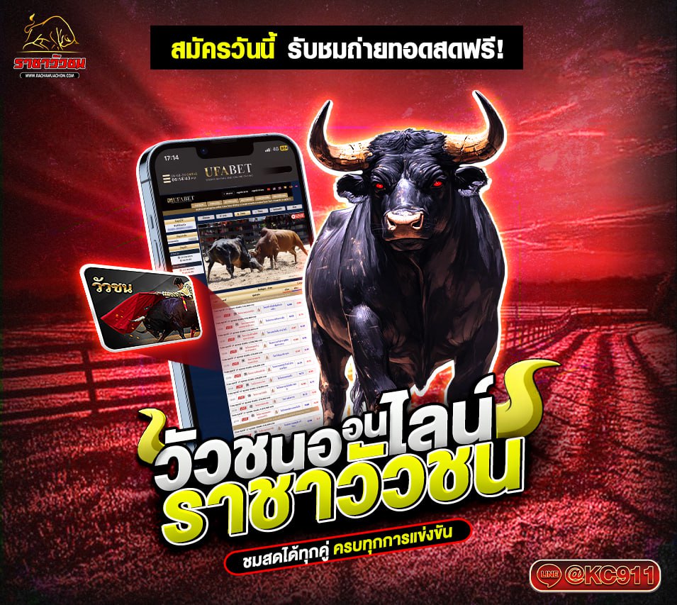 วัวชนออนไลน์ 20-04-2568