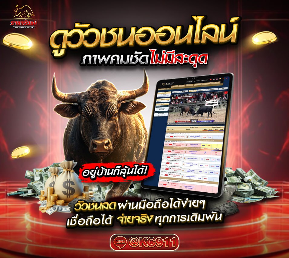 วัวชนออนไลน์ 23-04-2568