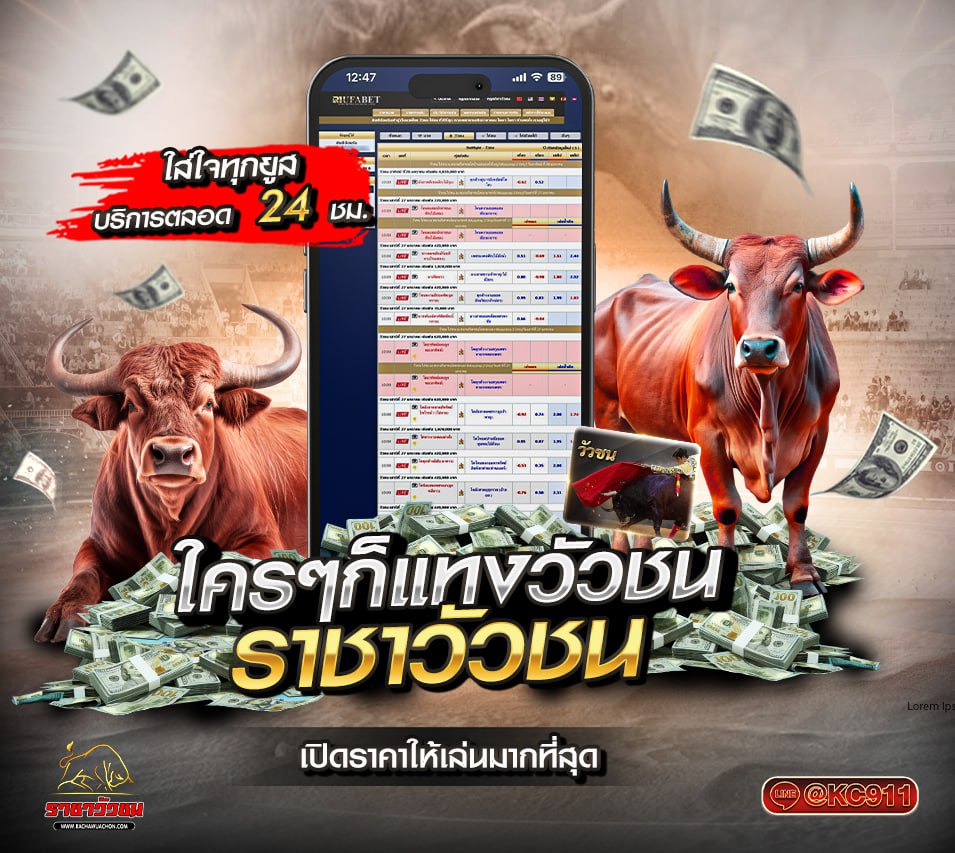 วัวชนออนไลน์ 24-04-2568