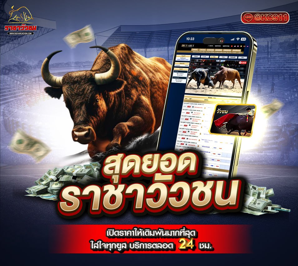 วัวชนออนไลน์ 26-04-2568