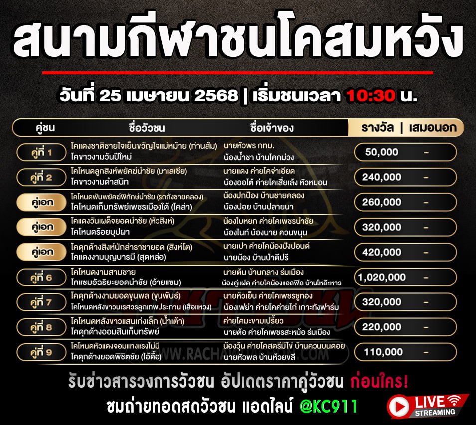 โปรแกรมวัวชน 25-4-2568
