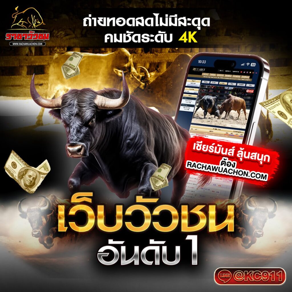 วัวชนออนไลน์ 28-03-2568