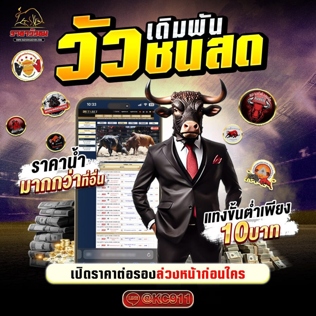 วัวชนออนไลน์ 26-03-2568