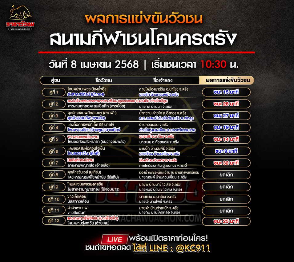 สรุปผลวัวชน 8-4-2568