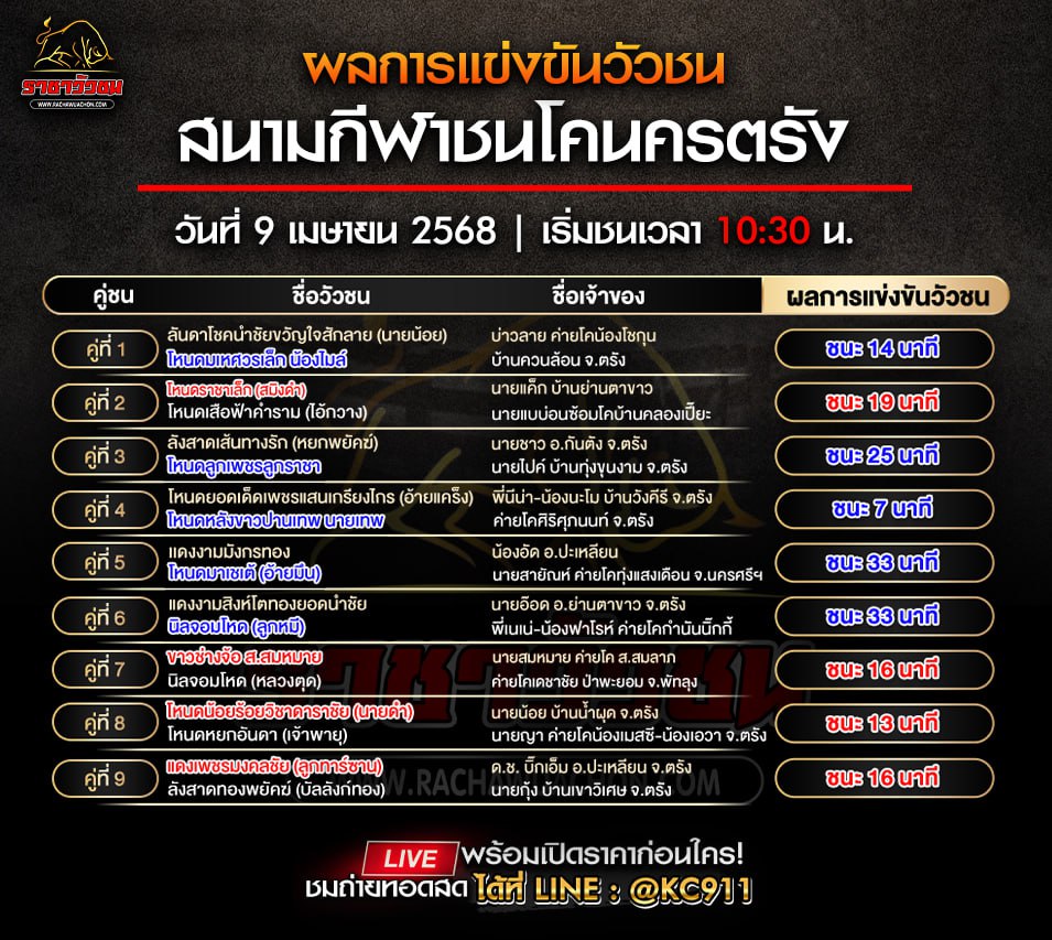 สรุปผลวัวชน 9-4-2568