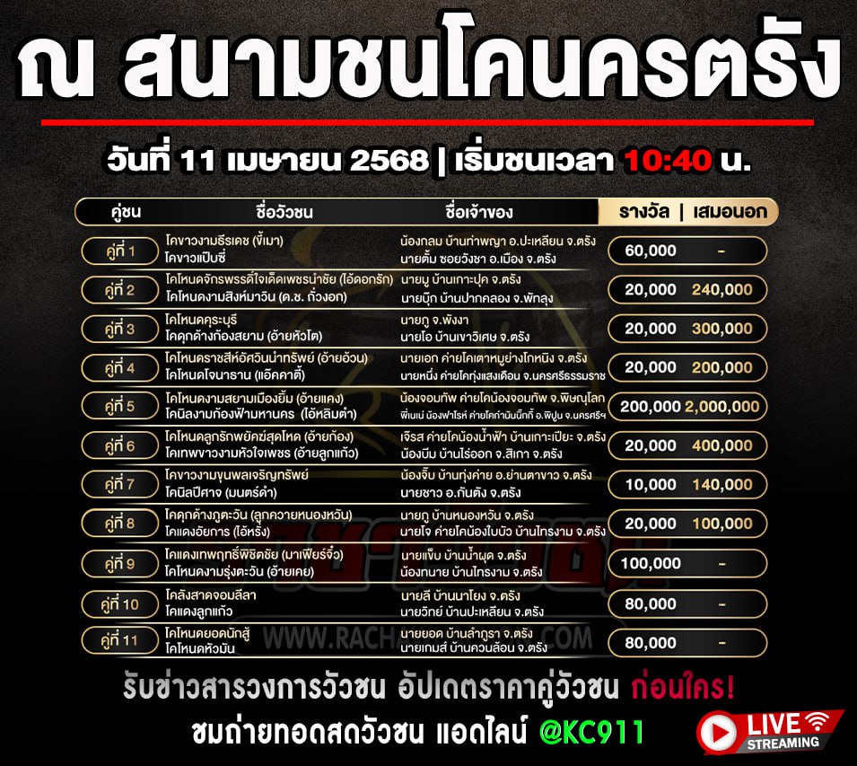 โปรแกรมวัวชน 11-4-2568