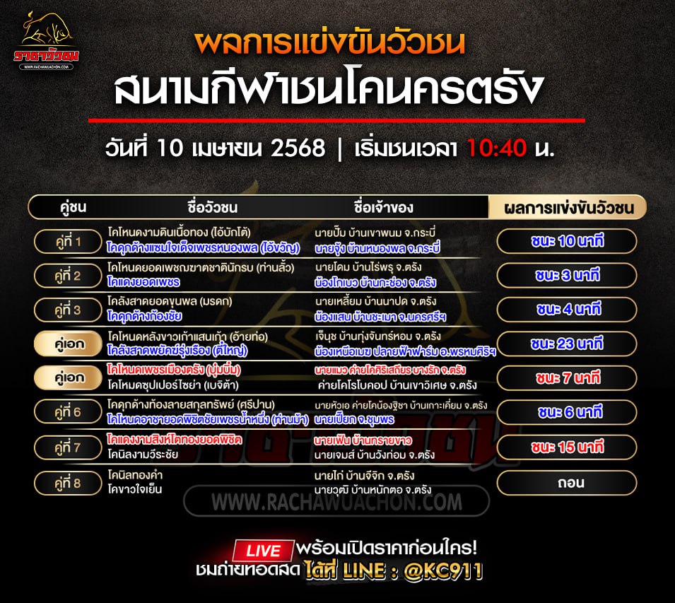 สรุปผลวัวชน 10-4-2568