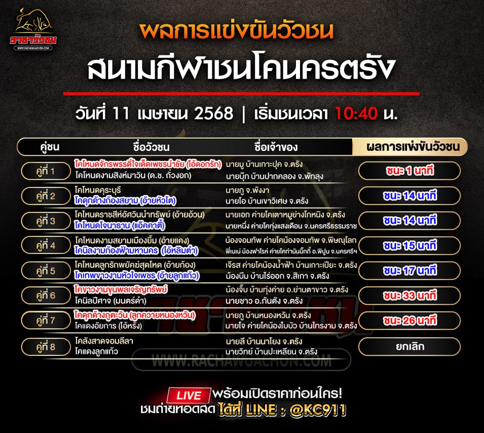 สรุปผลวัวชน 11-4-2568