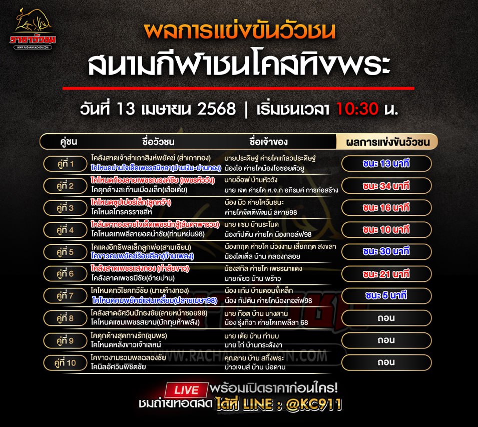 สรุปผลวัวชน 13-4-2568