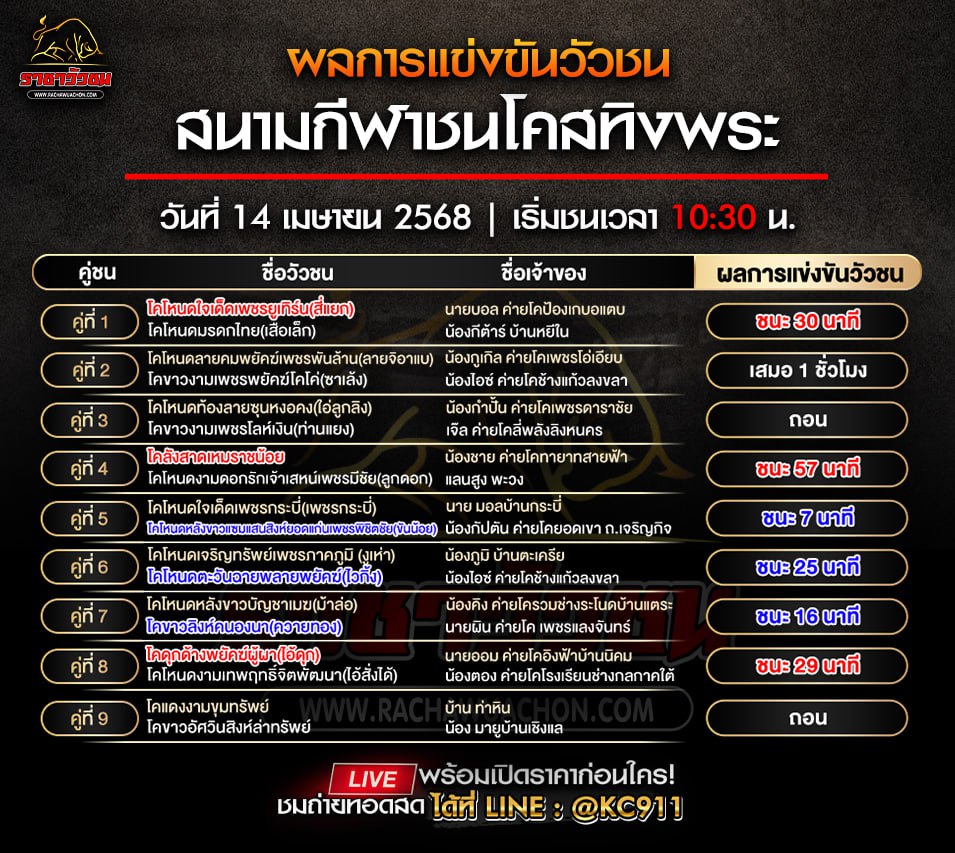 สรุปผลวัวชน 14-4-2568