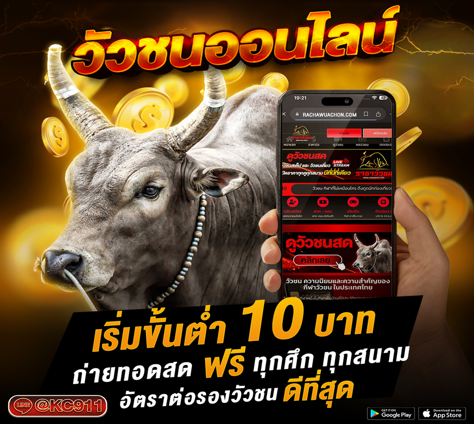 วัวชนออนไลน์ 24-03-2568