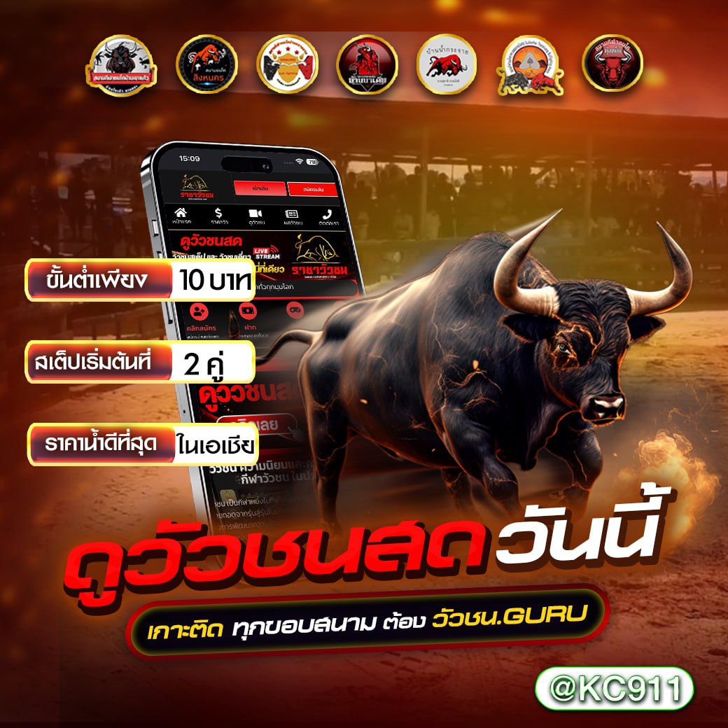 วัวชนออนไลน์ 07-5-2568