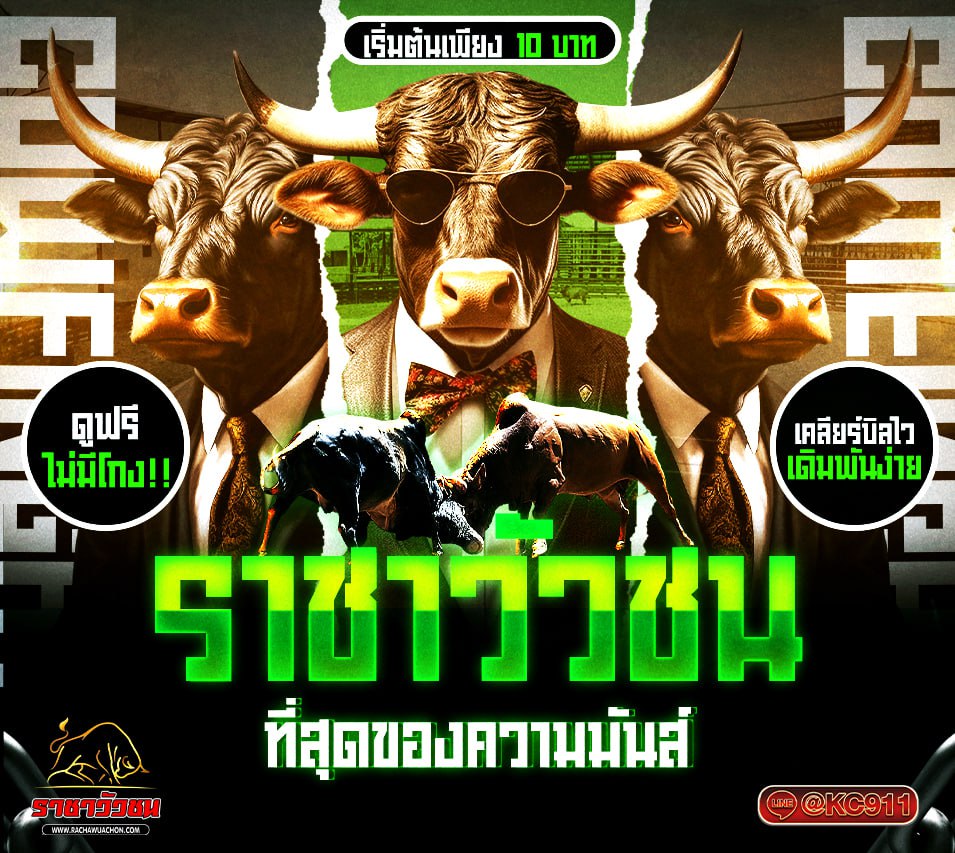 วัวชนออนไลน์ 01-5-2568