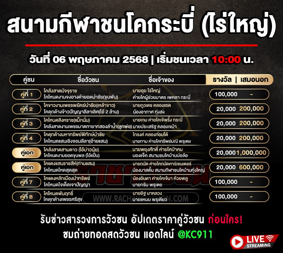 โปรแกรมวัวชน 06-5-2568