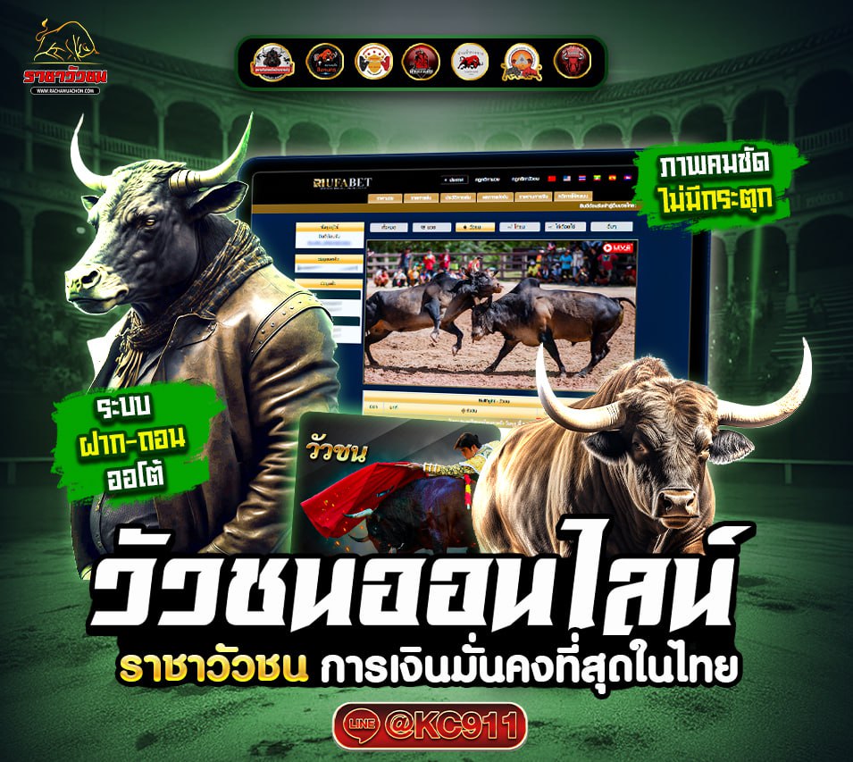 วัวชนออนไลน์ 14-5-2568