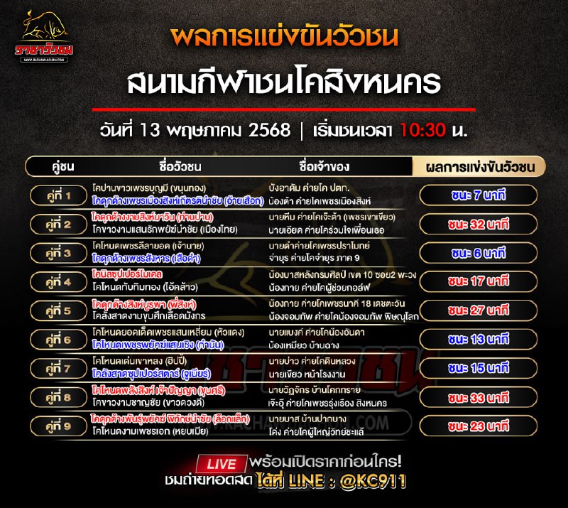 ผลวัวชน 13-5-2568
