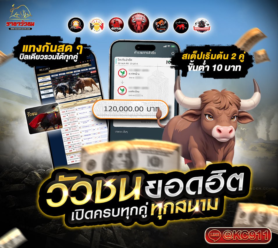 วัวชนออนไลน์ 23-5-2568