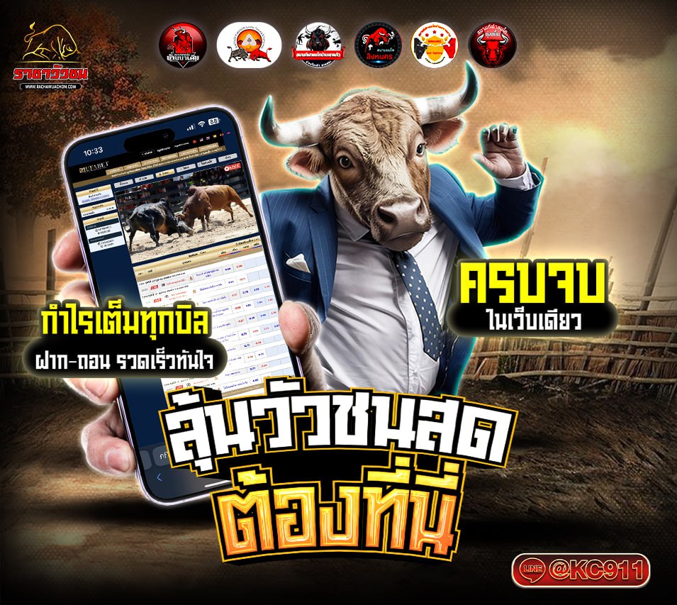 วัวชนออนไลน์ 25-5-2568