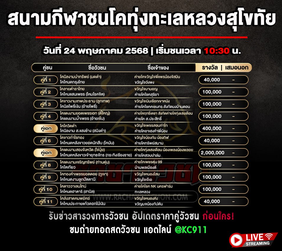 โปรแกรมวัวชน 24-5-2568